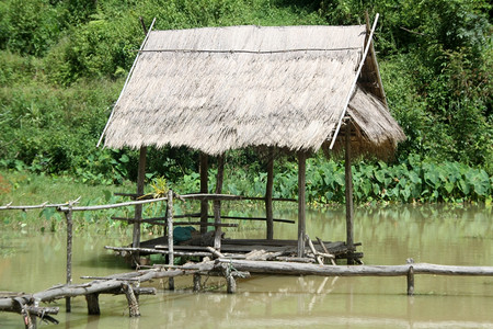 在Laos池塘上的旧木屋图片