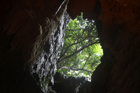 泰国哈隆湾ThiengKung洞穴入口处高清图片