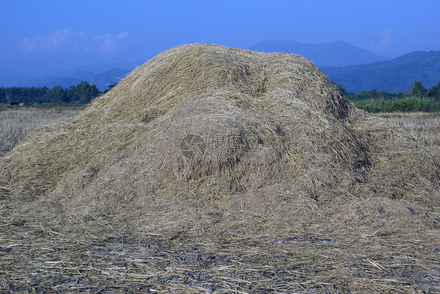 老挝的稻草堆图片