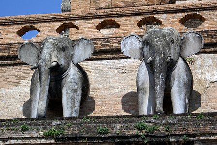 泰国清迈ChediLuang上的大象图片