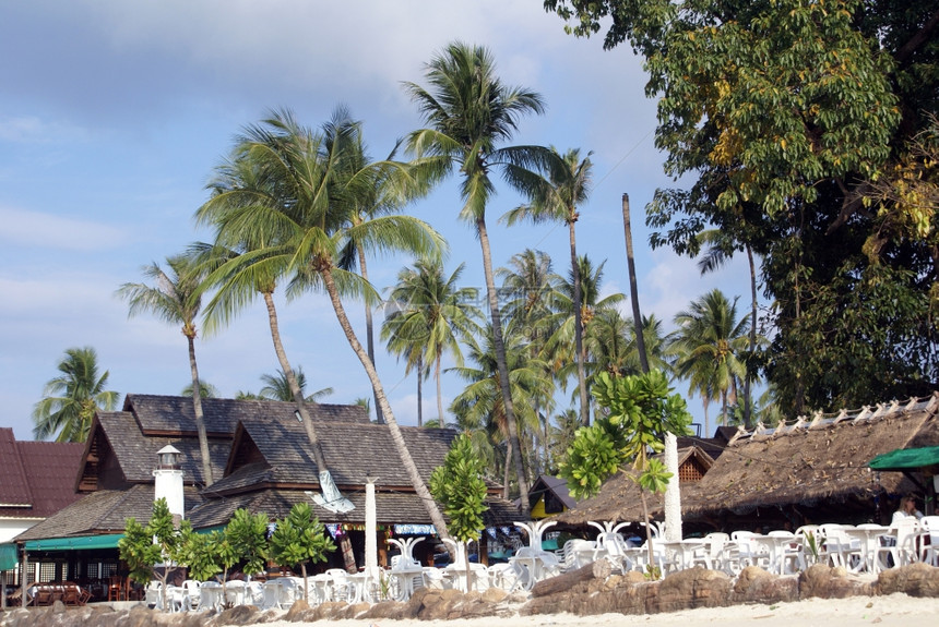 KoPhiPhi岛村棕榈树和房屋图片