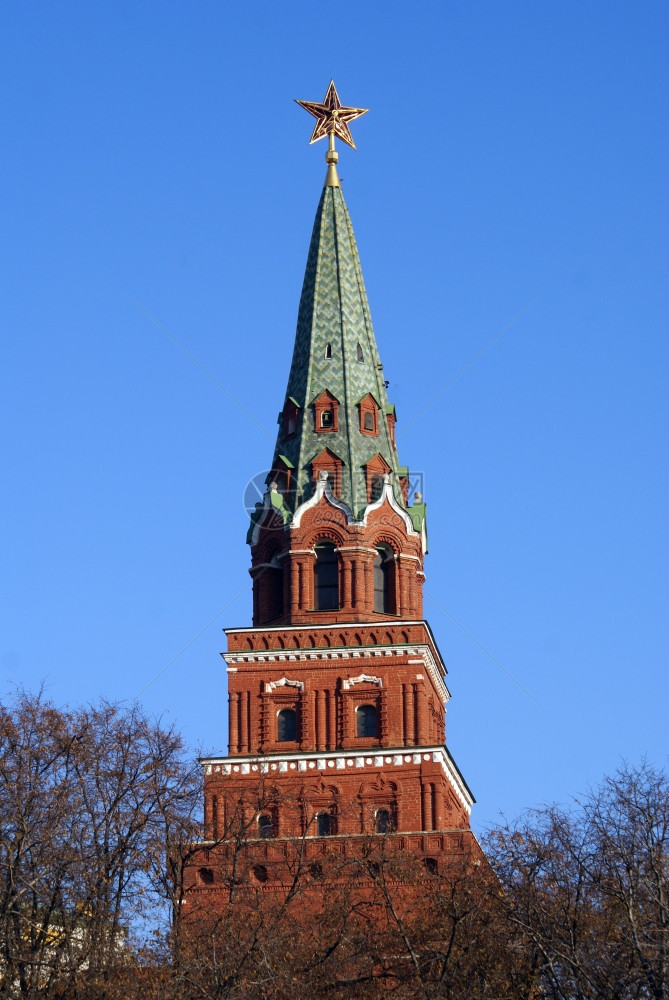 俄罗斯莫科克里姆林宫红砖塔和树图片