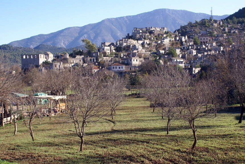 土耳其Kayakoy村果园和废墟图片