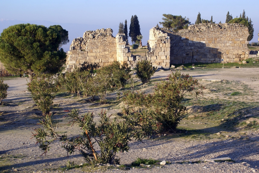 土耳其帕穆卡勒希拉波利斯的树木灌和废墟图片