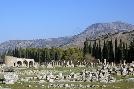 土耳其帕穆卡勒附近的希拉波利斯树和废墟图片