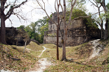 危地马拉蒂卡尔干草和废墟上的足迹背景图片