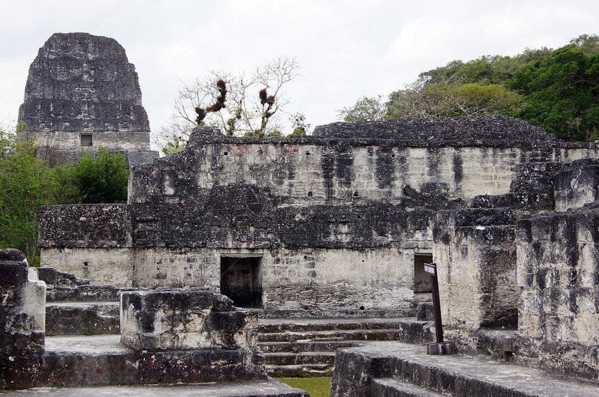 危地马拉蒂卡尔古石庙和金字塔的废墟图片