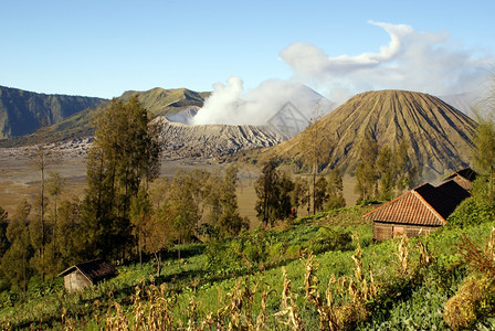 印度尼西亚火山附近的农场图片
