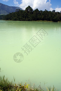 爪哇迪昂高原TelagaWarna湖的翡翠水图片