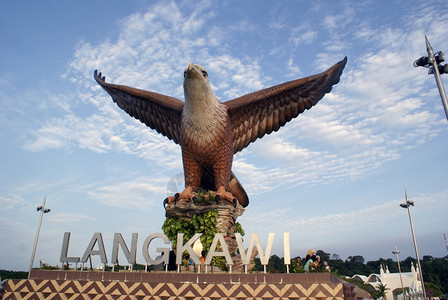 马来西亚兰卡维大鹰图片