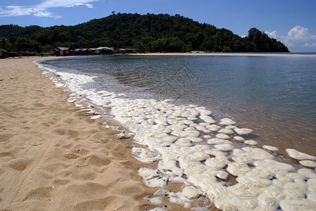 马来西亚东部切雷德海滩上的泡沫图片