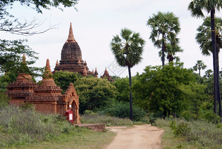 缅甸OLdBagan的公路棕榈树和砖庙图片