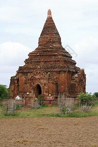 缅甸Baghan的砖塔和田野图片