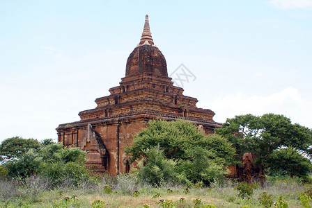 缅甸巴甘的老砖墙寺树和灌木丛图片