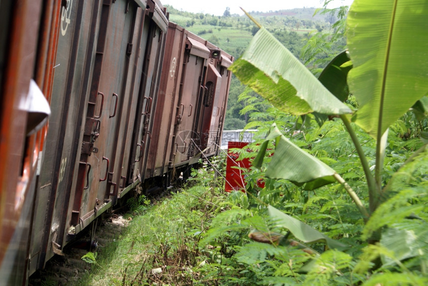 缅甸铁路上的火车和香蕉棕榈树图片
