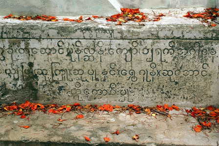 红花瓣在石头上写着信缅甸图片