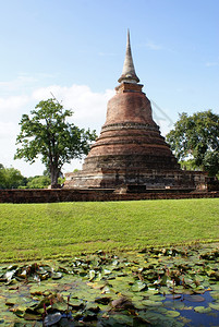 泰国老苏霍泰的摩诃渡佛塔和莲花池图片