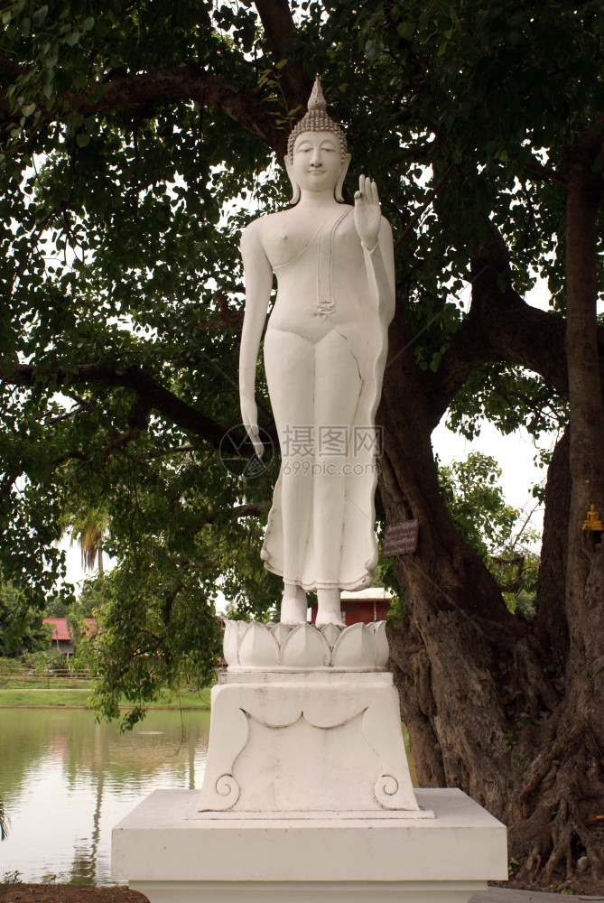 泰国素可泰TrapangThongLuang树下的佛像图片