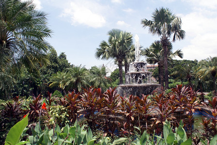 马尼拉棕榈树花园和喷泉图片