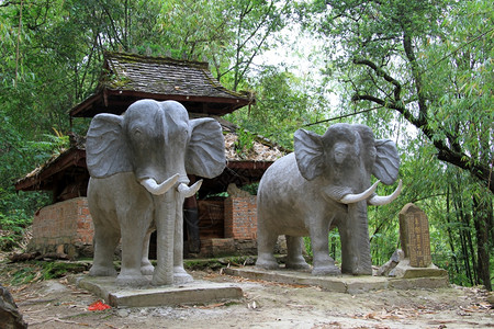 森林里有大象的泥沙中华人广场背景图片