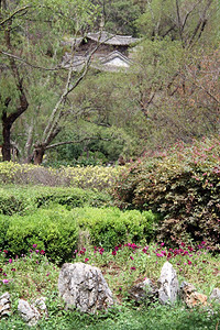 里江黑龙公园花和塔图片