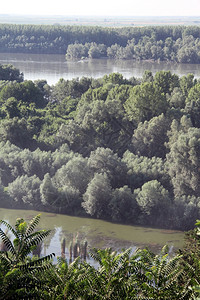 克罗地亚边界的多瑙河和两条图片
