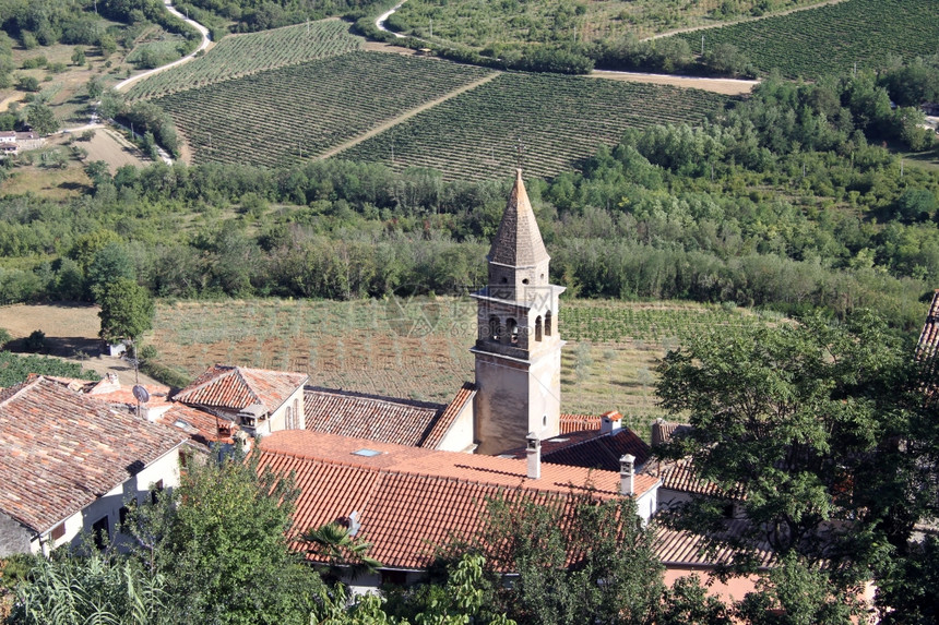 克罗地亚伊斯特里亚莫托文的屋顶和葡萄园图片