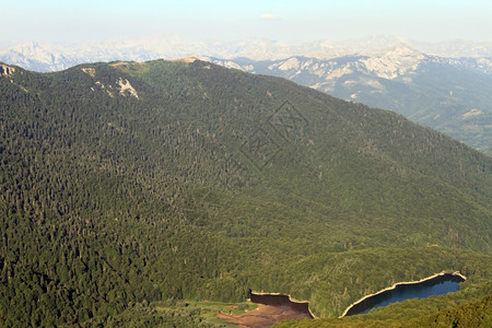 黑山Beogradskoezezero公园森林中的两个湖泊图片