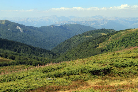 黑山贝奥格拉德斯科埃泽罗公园内的山图片