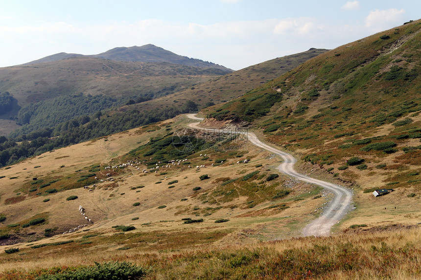 黑山坡上的羊和公路图片