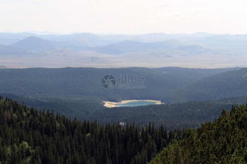 黑山Durmitor公园中的山区森林和黑湖图片