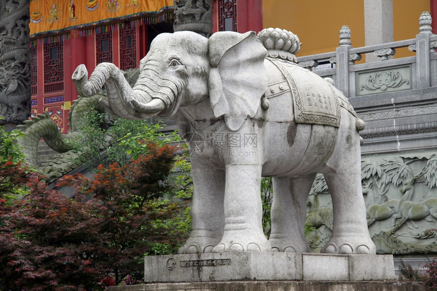 珠华山寺庙附近的大白象图片