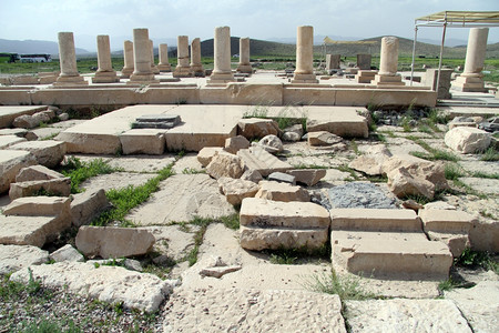 伊朗Pasargadae宫的列和废墟图片