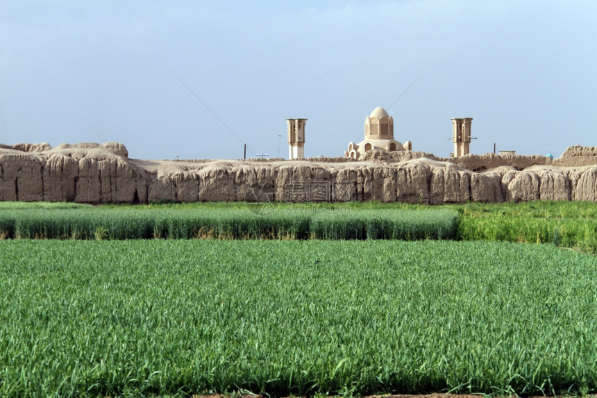伊朗Kashan古堡垒内的小麦田图片