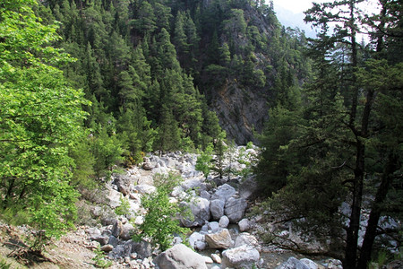 土耳其Goyynuk峡谷的森林Amd河高清图片