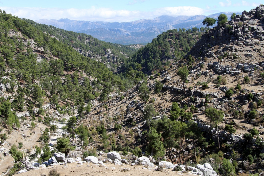 土耳其南部的山谷和田图片