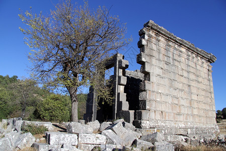 土耳其阿达的树木和寺庙墙图片