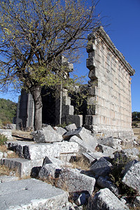土耳其阿达古寺庙的树木和废墟图片