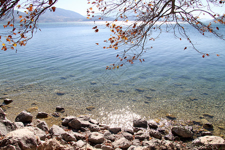土耳其Egirdir湖的树木和秋天图片