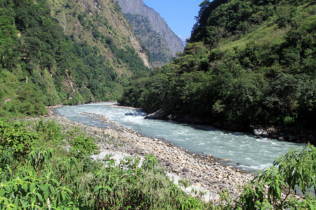 尼泊尔山上和河流的森林图片