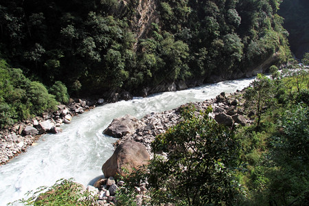 尼泊尔山区河流和森林图片