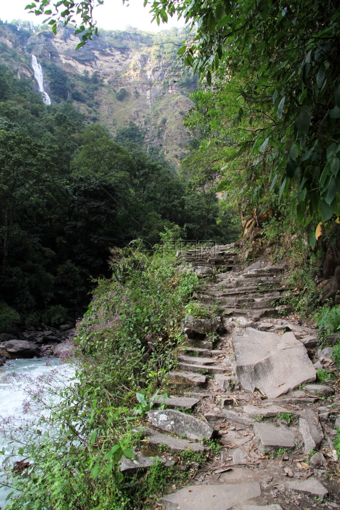 尼泊尔的洛基人行道河流瀑布图片