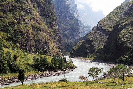 尼泊尔的树木和山河图片
