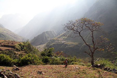 尼泊尔山上的妇女和树图片