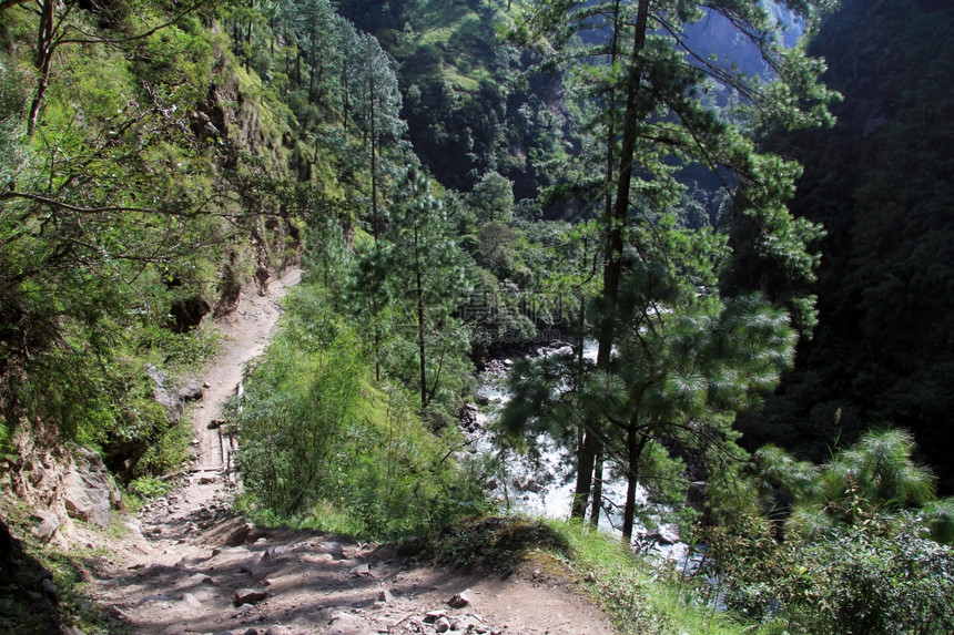 尼泊尔森林中马纳斯卢的足迹图片