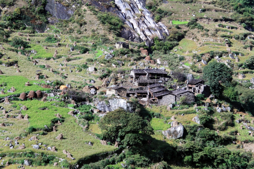 尼泊尔山坡上的农场图片