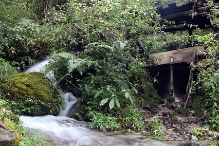 尼泊尔森林中的小河和老旧水厂图片
