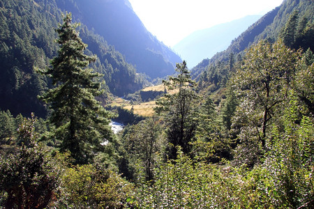 尼泊尔山区小河和森林图片