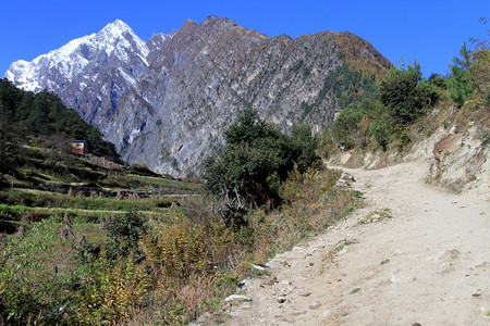 尼泊尔山区的宽步行道和田地图片