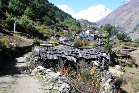 尼泊尔村农庄图片